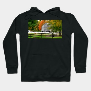 autumn landscape in the countryside Hoodie